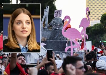 Denoncon Marjana Koçeku: Mbyllen mbi 200 faqe në Instagram, sulme ndaj opozitës dhe mbështetësve të protestës