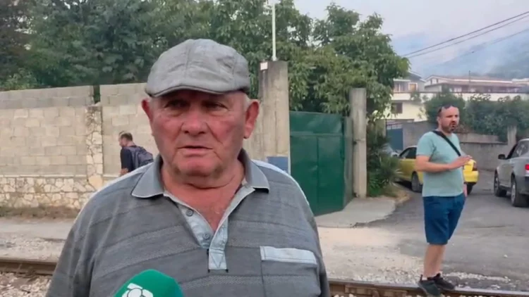 “U dogj shtëpia dhe ferma me lopë”, banorët e Levanit të alarmuar: S’kemi parë ndonjëherë zjarr të tillë