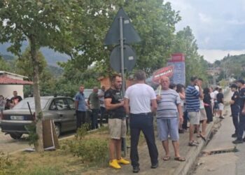 Kundër bashkimit me Tepelenën/ Banorët e Memaliajt dalin në protestë dhe bllokojnë aksin kryesor