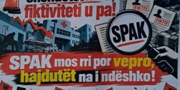 Nga SHISH te shëndetësia, pankartat pikante të protestës së 118-të