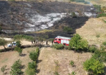 Zjarr në Pogradec, digjet mbi 2 hektarë kullotë
