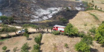 Zjarr në Pogradec, digjet mbi 2 hektarë kullotë