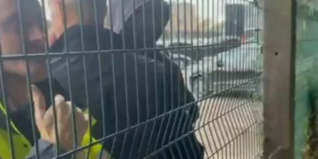 Broja përplaset me tifozin pas humbjes, sulmuesi i Burnley-t: Kam qenë jashtë për një vit