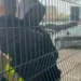 Broja përplaset me tifozin pas humbjes, sulmuesi i Burnley-t: Kam qenë jashtë për një vit