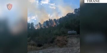 Dy të arrestuar për zjarrvënie të qëllimshme në Tiranë