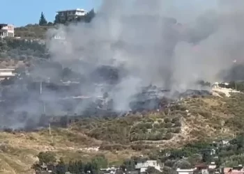 Përkeqësohet situata me zjarrin në Vlorë, flakët përfshijnë edhe disa banesa