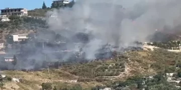 Përkeqësohet situata me zjarrin në Vlorë, flakët përfshijnë edhe disa banesa