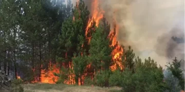 Zjarri në Mat del jashtë kontrollit, evakuohen disa familje dhe rrezikohen banesa dhe stane