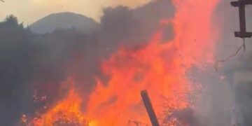 Zjarr në Gjirokastër, flakët rrezikojnë banesat dhe një fabrikë uji
