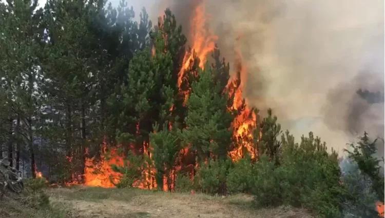 Zjarri në Mat del jashtë kontrollit, evakuohen disa familje dhe rrezikohen banesa dhe stane