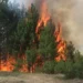 Zjarri në Mat del jashtë kontrollit, evakuohen disa familje dhe rrezikohen banesa dhe stane