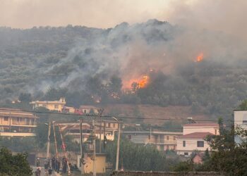 Zbardhen dy raste zjarrvënieje në Fier, arrestohet në flagrancë një 50-vjeçar, procedohet penalisht një tjetër