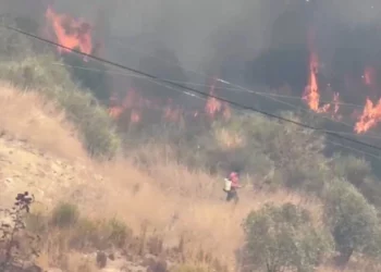 Zjarri përfshin zonën e Bagos në Kavajë dhe flakët i afrohen banesave, kërkohet ndërhyrja nga ajri