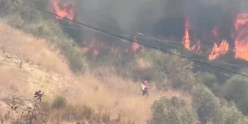 Zjarri përfshin zonën e Bagos në Kavajë dhe flakët i afrohen banesave, kërkohet ndërhyrja nga ajri