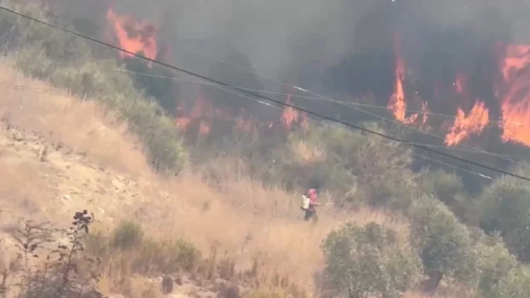 Zjarri përfshin zonën e Bagos në Kavajë dhe flakët i afrohen banesave, kërkohet ndërhyrja nga ajri