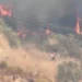 Zjarri përfshin zonën e Bagos në Kavajë dhe flakët i afrohen banesave, kërkohet ndërhyrja nga ajri