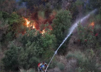 Të dyshuar si autorë të zjarrvënieve të qëllimshme, arrestohen tre persona në Durrës (Emrat)