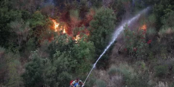 Të dyshuar si autorë të zjarrvënieve të qëllimshme, arrestohen tre persona në Durrës (Emrat)