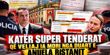 Nga ikja e Ristanit tek ardhja e Dokushit, kush firmosi për 5 ditë 20 MLD lekë?