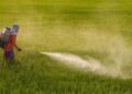 Raporti i KLSH ngre alarmin: Shqipëria mbajti në qarkullim 10 pesticide të ndaluara nga BE-ja