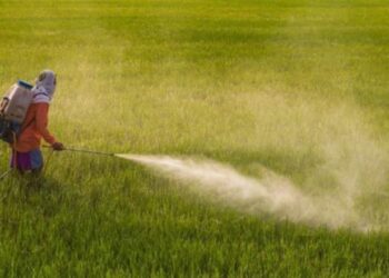 Raporti i KLSH ngre alarmin: Shqipëria mbajti në qarkullim 10 pesticide të ndaluara nga BE-ja