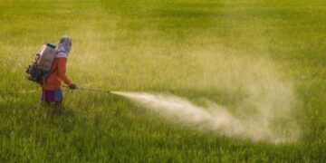 Raporti i KLSH ngre alarmin: Shqipëria mbajti në qarkullim 10 pesticide të ndaluara nga BE-ja