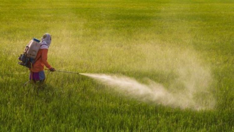 Raporti i KLSH ngre alarmin: Shqipëria mbajti në qarkullim 10 pesticide të ndaluara nga BE-ja