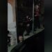 Dhunoi qytetarin me shkop gome, Policia: Pezulluam efektivin e ‘Shqiponjave’, hetim për dëmtimin në sy të 28-vjeçarit