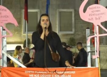 Aktivistja Vatnikaj: Rama nuk sjell parimet BE-së, por qeverisjen e 313-ës