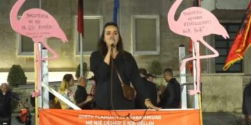 Aktivistja Vatnikaj: Rama nuk sjell parimet BE-së, por qeverisjen e 313-ës