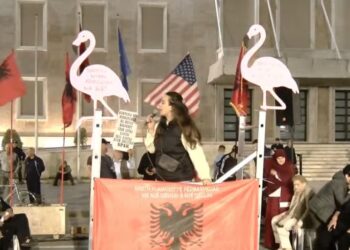 Aktivistja: 3 protestues u shoqëruan sot para Kuvendit, policia t’i lirojë!