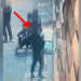 Theu xhamat e Gjykatës Kushtetuese gjatë protestës, arrestohet 19-vjeçari! 5 të tjerë nën hetim