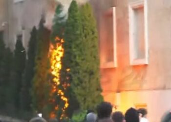 Përshkallëzohet situata te Kryeministria! Marrin flakë pemët brenda gardhit të godinës së Qeverisë