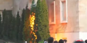 Përshkallëzohet situata te Kryeministria! Marrin flakë pemët brenda gardhit të godinës së Qeverisë