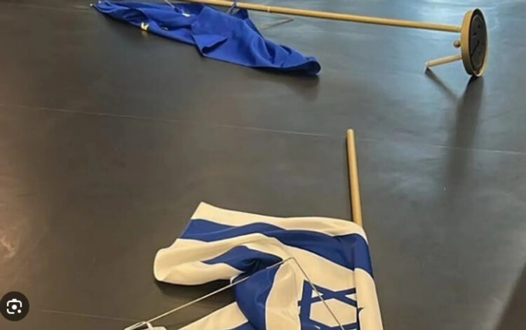 Përplasje në Parlamentin Europian! Eurodeputetja heq flamurin e Izraelit, reagon ashpër ambasadori