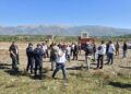 Përplasje në Gjoricë për parkun fotovoltaik, banorët bllokojnë nisjen e punimeve