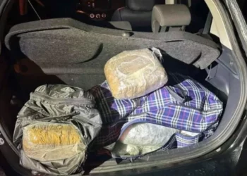 Sekuestrohen 36 kg kanabis në Janinë, dyshohet se transportohej nga Shqipëria