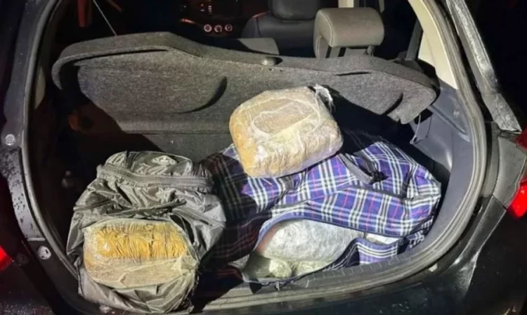 Sekuestrohen 36 kg kanabis në Janinë, dyshohet se transportohej nga Shqipëria