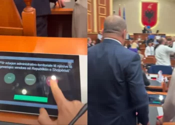 “Votë kundër”/ Marjana Koçeku publikon pamjet nga votimi i Reformës Territoriale në Kuvend