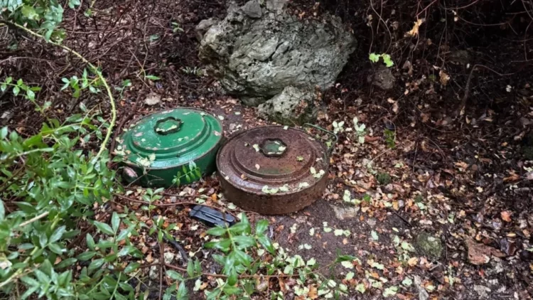 Zbulohen dy mina antitank në Borsh, ndërhyjnë forcat xheniere