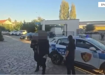 Goditet grupi kriminal i drogës në Shkodër/ Sekuestrohen 265 kg kanabis, 4 të arrestuar dhe 3 në kërkim