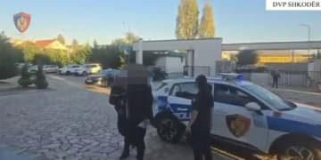 Goditet grupi kriminal i drogës në Shkodër/ Sekuestrohen 265 kg kanabis, 4 të arrestuar dhe 3 në kërkim