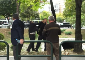 Provokoi protestuesit, qytetari gjuan me shpullë djalin e ish-deputetit socialist Paulin Sterkajt