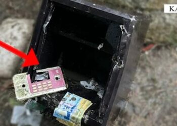 Zhduket kasaforta me 600 mijë lekë dhe 6 celularë nga një dyqan rrobash në Kavajë, zbulohet ku ishte fshehur
