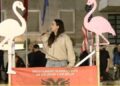 Aktivistja Vatnikaj: Reforma territoriale u votua për turp nga PS sipas urdhrit të Ramës