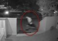 20 vjedhje në Itali brenda pak muajve, policia arreston tre ‘skifterët’ shqiptarë