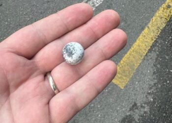 Deputetja publikon fotot: Policia po godet protestuesit me zara hekuri