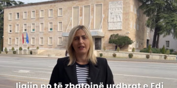 Plagosja e protestuesit në sy/ Zhupa: Rama, përgjegjës për barbarizmin e policisë dhe dështimin e shëndetësisë